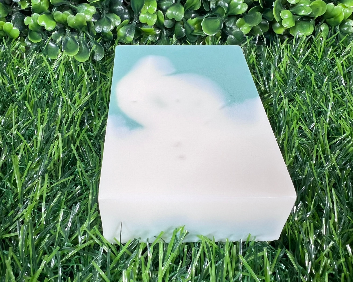 Homemade Mint & Eucalyptus Bar Soap (Batch 2503-20)