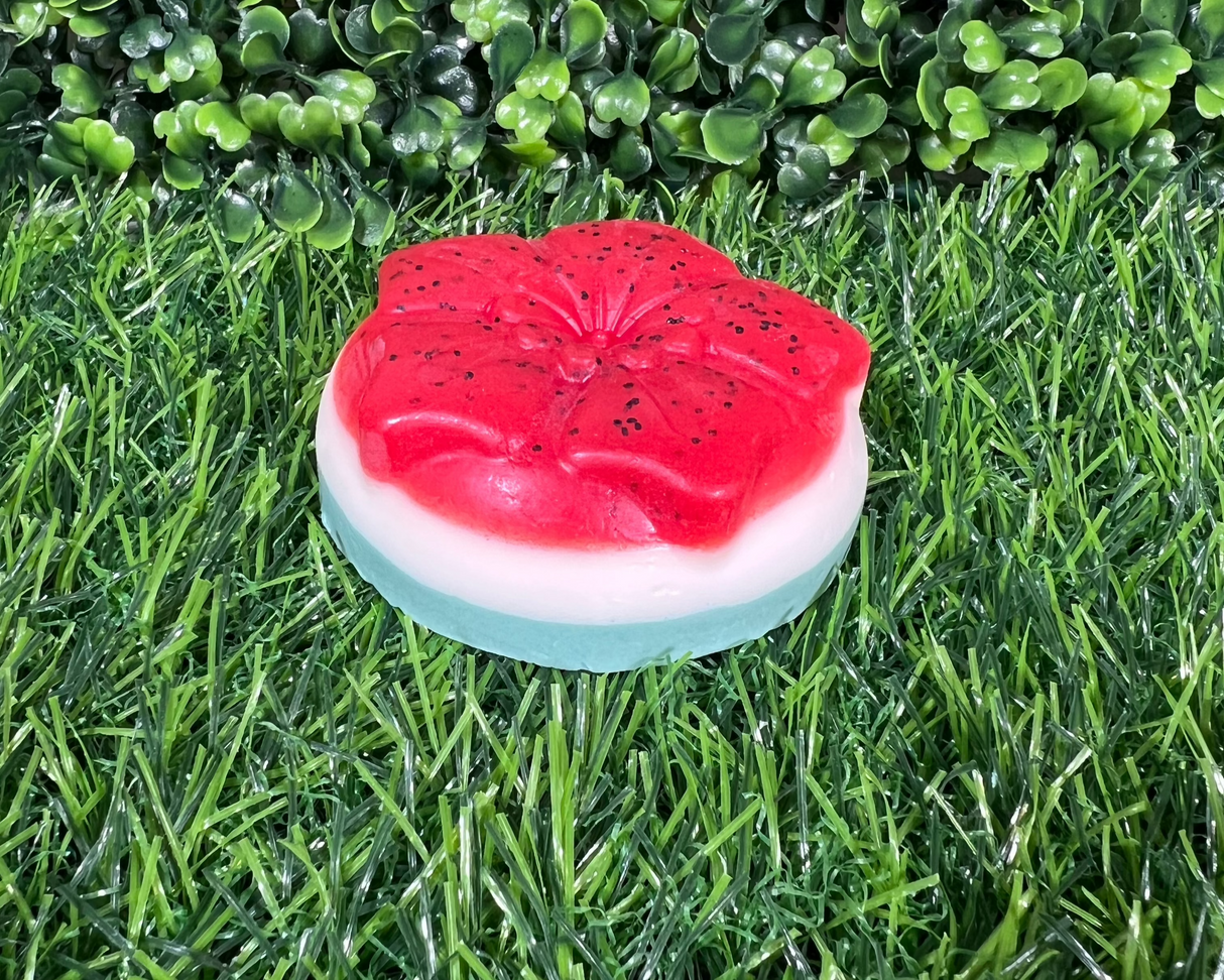 Homemade Watermelon Bar Soap (Batch 2502-9)