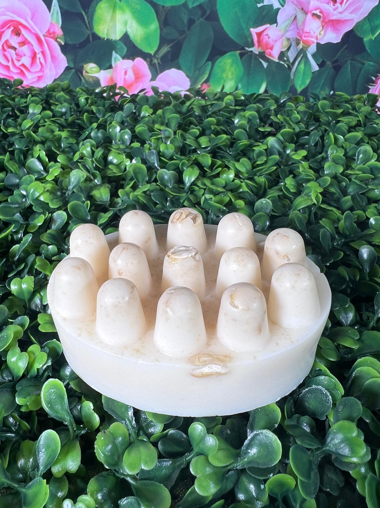 Homemade Oatmeal Bar Soap (Batch 2501-3)