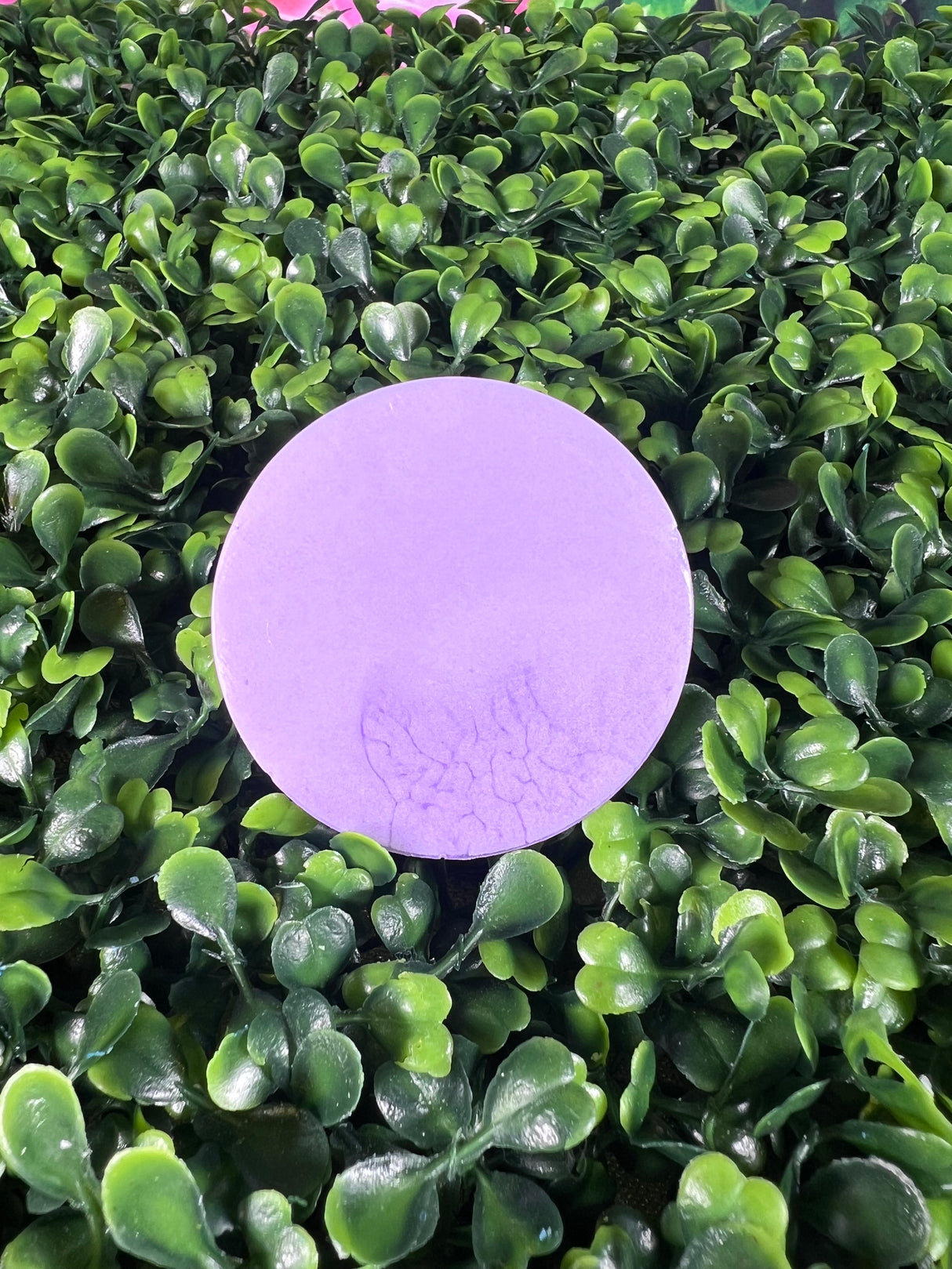 Homemade Two-Toned Lavender Bar Soap (Batch 2503-7)