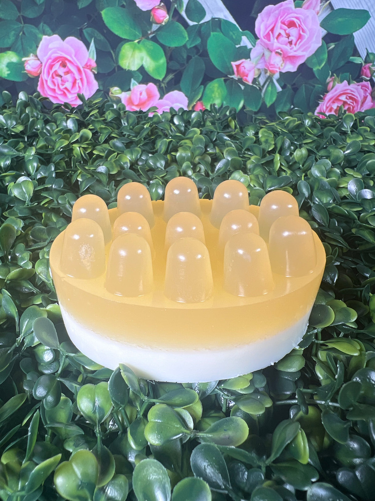 Homemade Honey Bar Soap (Batch 2504-3)