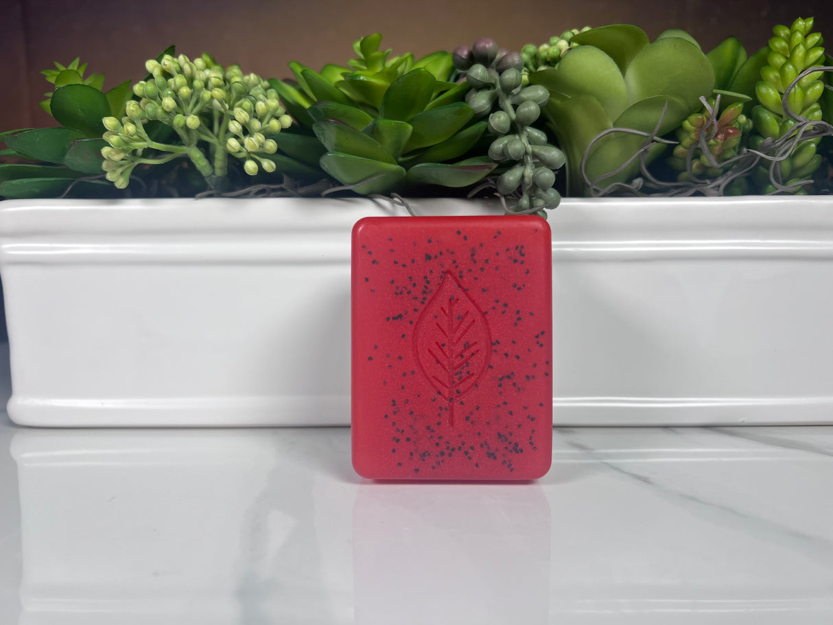 Homemade Watermelon Bar Soap (Batch 2505-5)