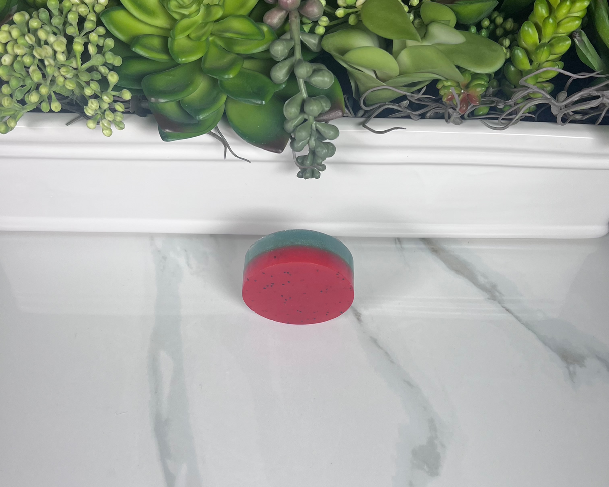 Homemade Watermelon Bar Soap (Batch 2505-5)