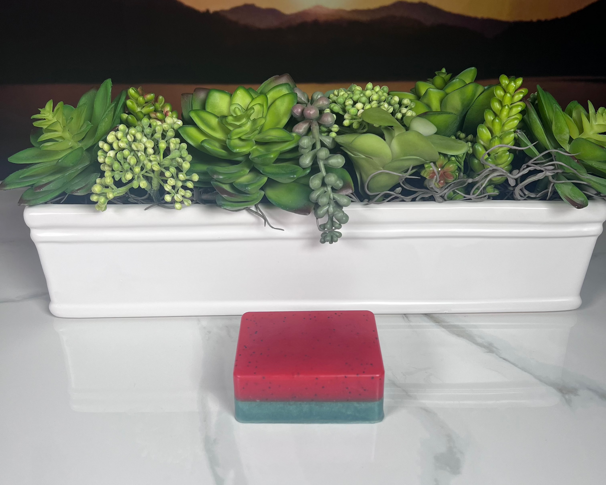 Homemade Watermelon Bar Soap (Batch 2505-5)