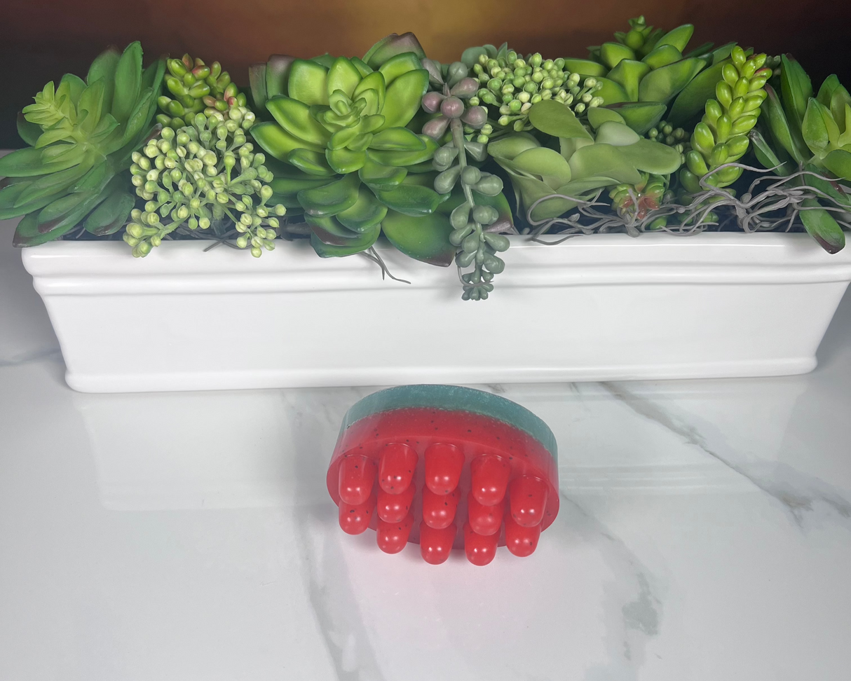 Homemade Watermelon Bar Soap (Batch 2505-5)