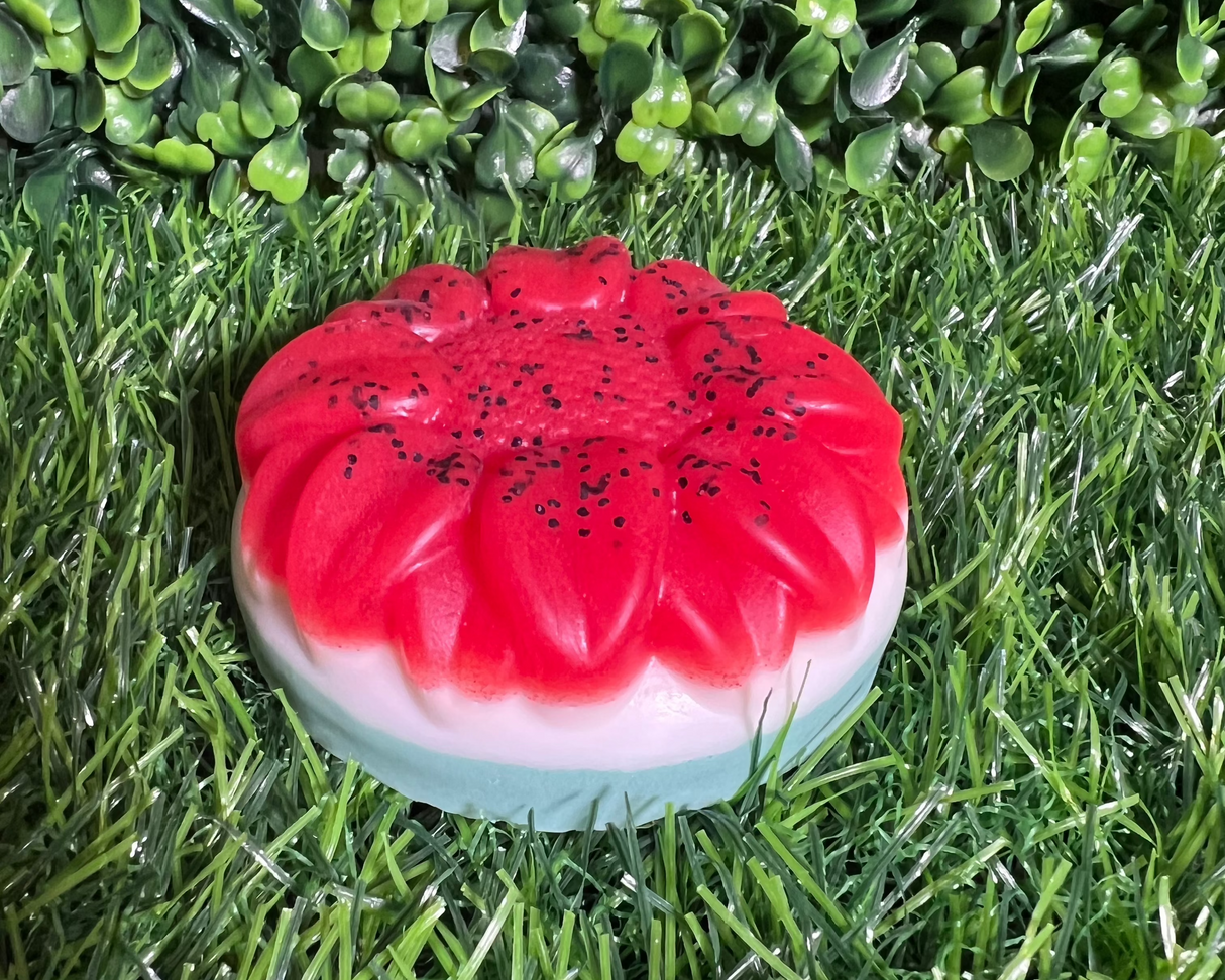 Homemade Watermelon Bar Soap (Batch 2502-9)