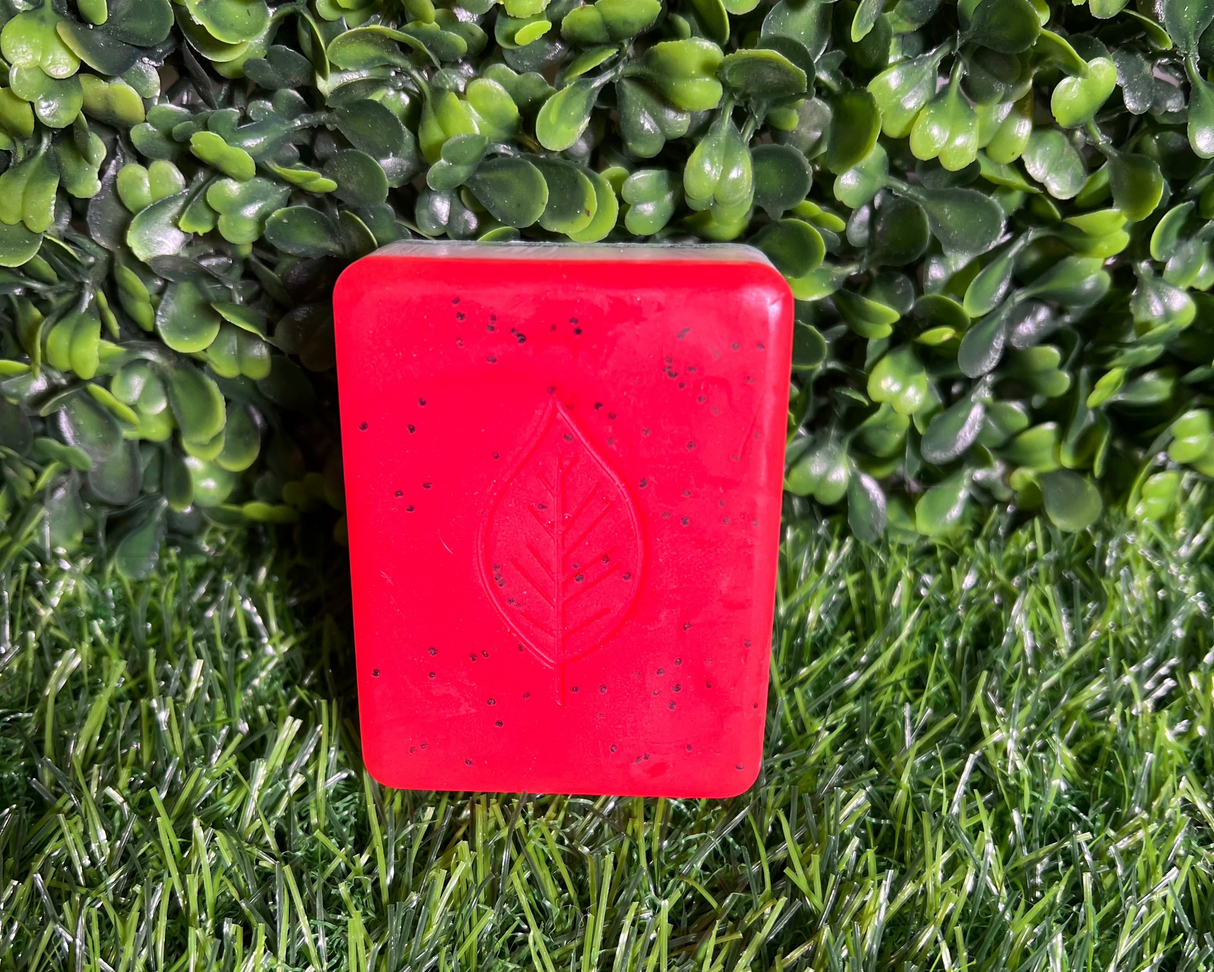 Homemade Watermelon Bar Soap (Batch 2502-9)