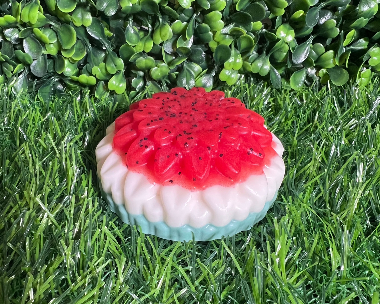 Homemade Watermelon Bar Soap (Batch 2502-9)