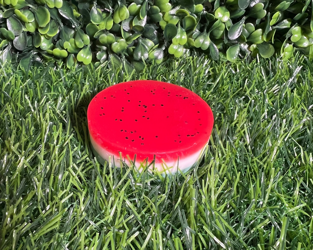 Homemade Watermelon Bar Soap (Batch 2502-9)