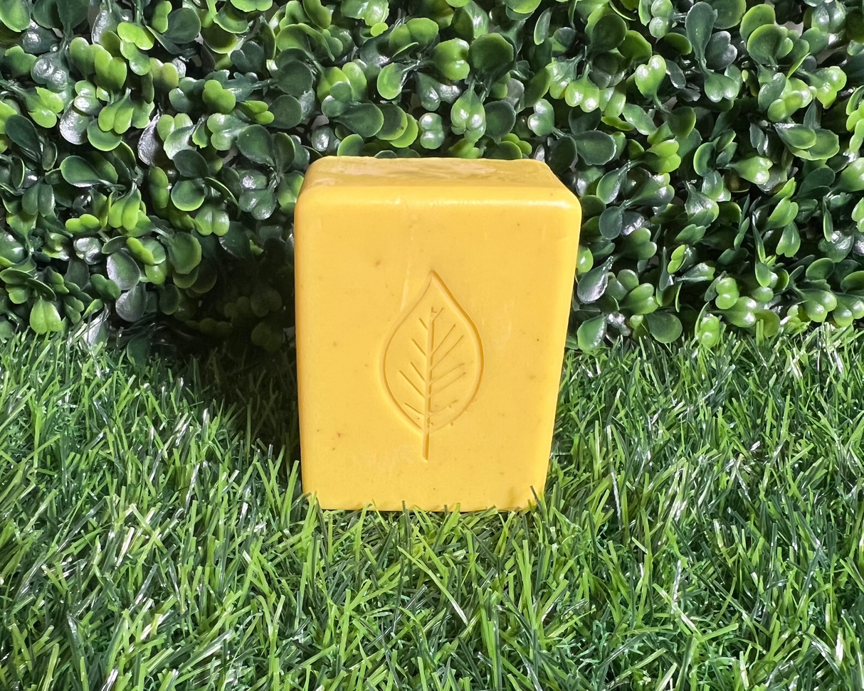 Homemade Turmeric Bar Soap (Batch 2501-8)