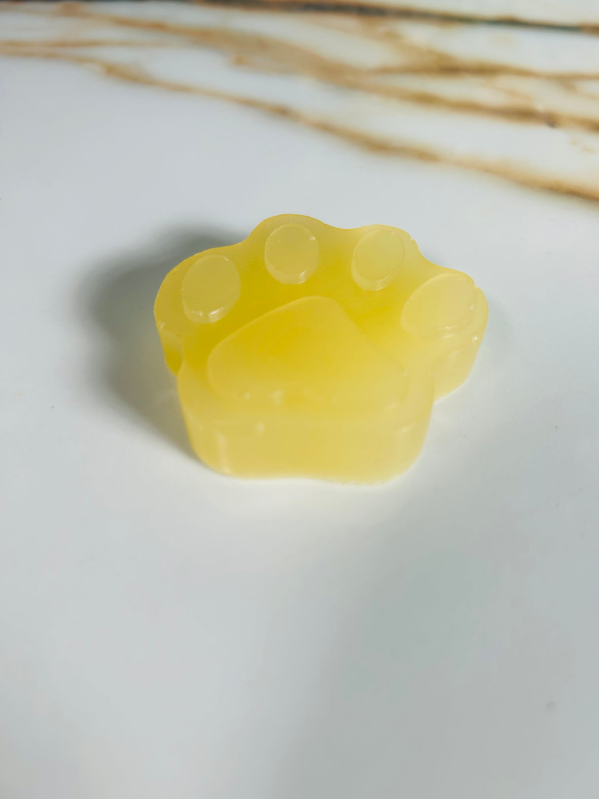 Homemade Dog Soap with Honey (Batch 2511-2)