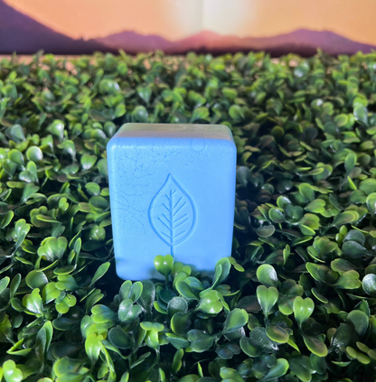 A two-toned light blue (top layer) and green (bottom layer) rectangular bar of soap with rounded edges and leaf design on top of it placed on a bed of decorative green leaves, with a warm, mountainous background.