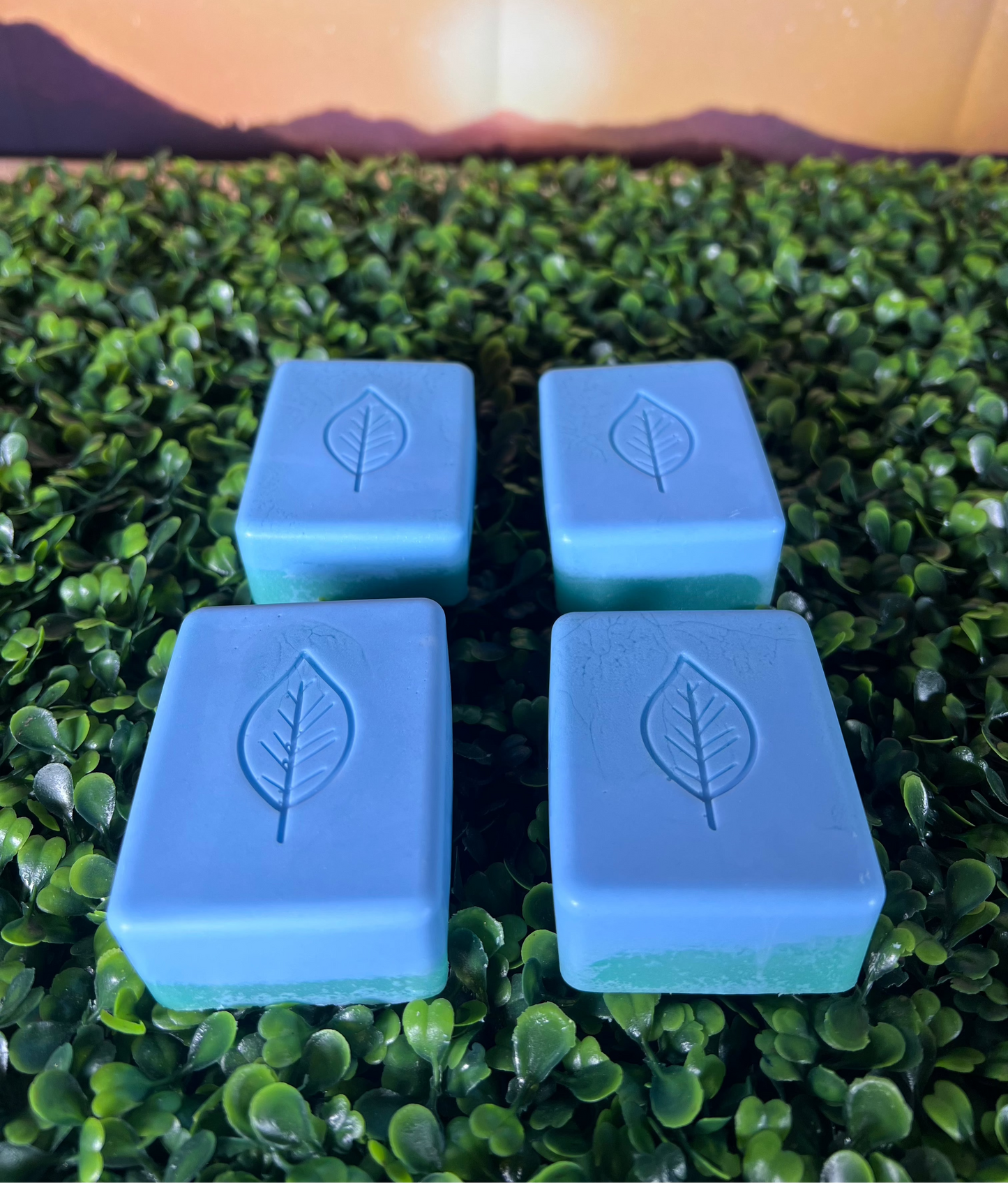 4 two-toned light blue (top layer) and green (bottom layer) rectangular bars of soap with rounded edges and leaf designs on top, all placed on a bed of decorative green leaves, with a warm, mountainous background.
