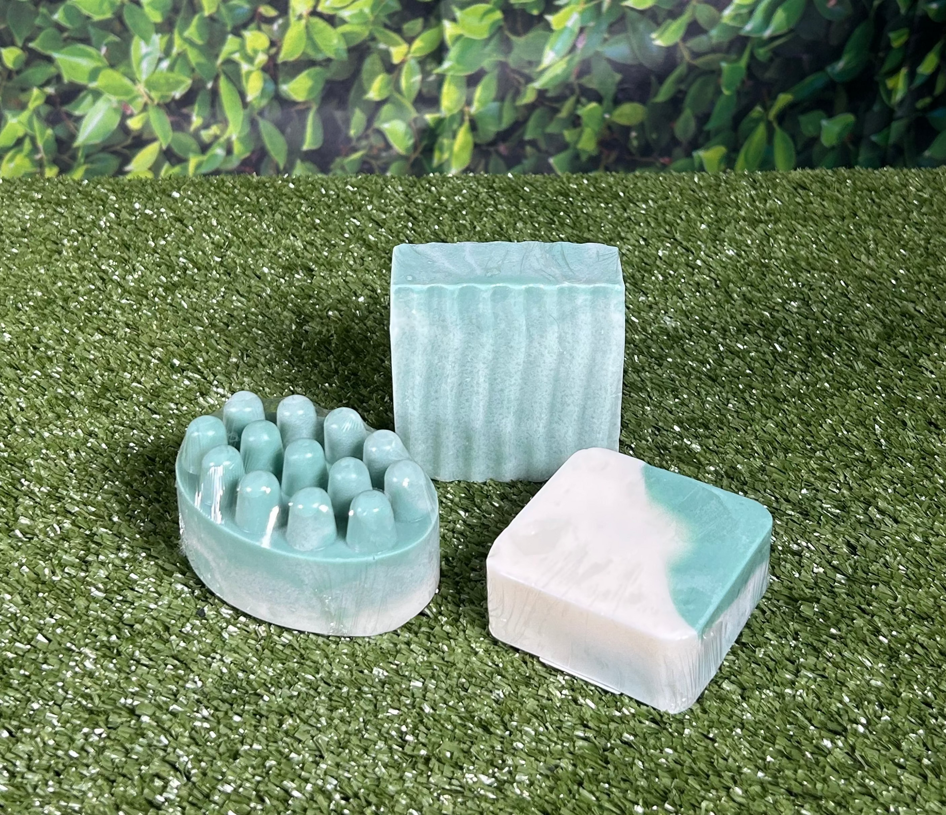 All sage soap variants displayed together