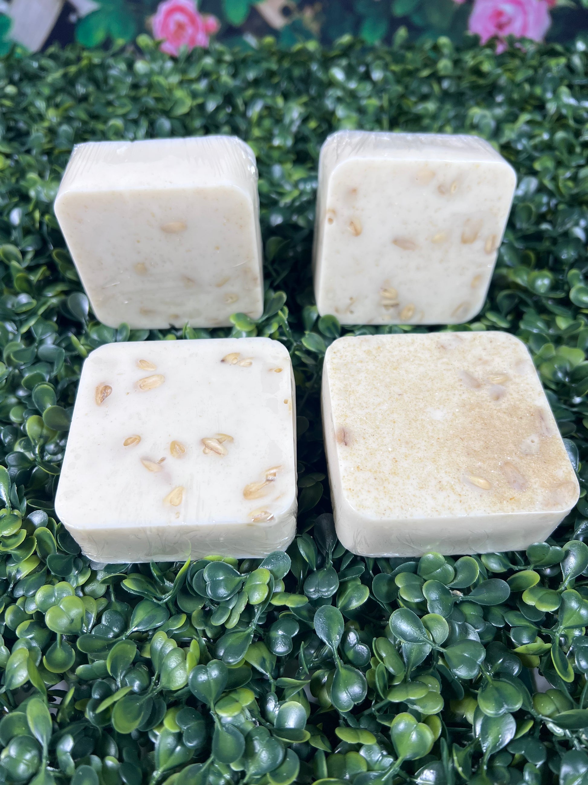Four square-shaped white bars of soap with visible pieces of oatmeal on a green leafy background