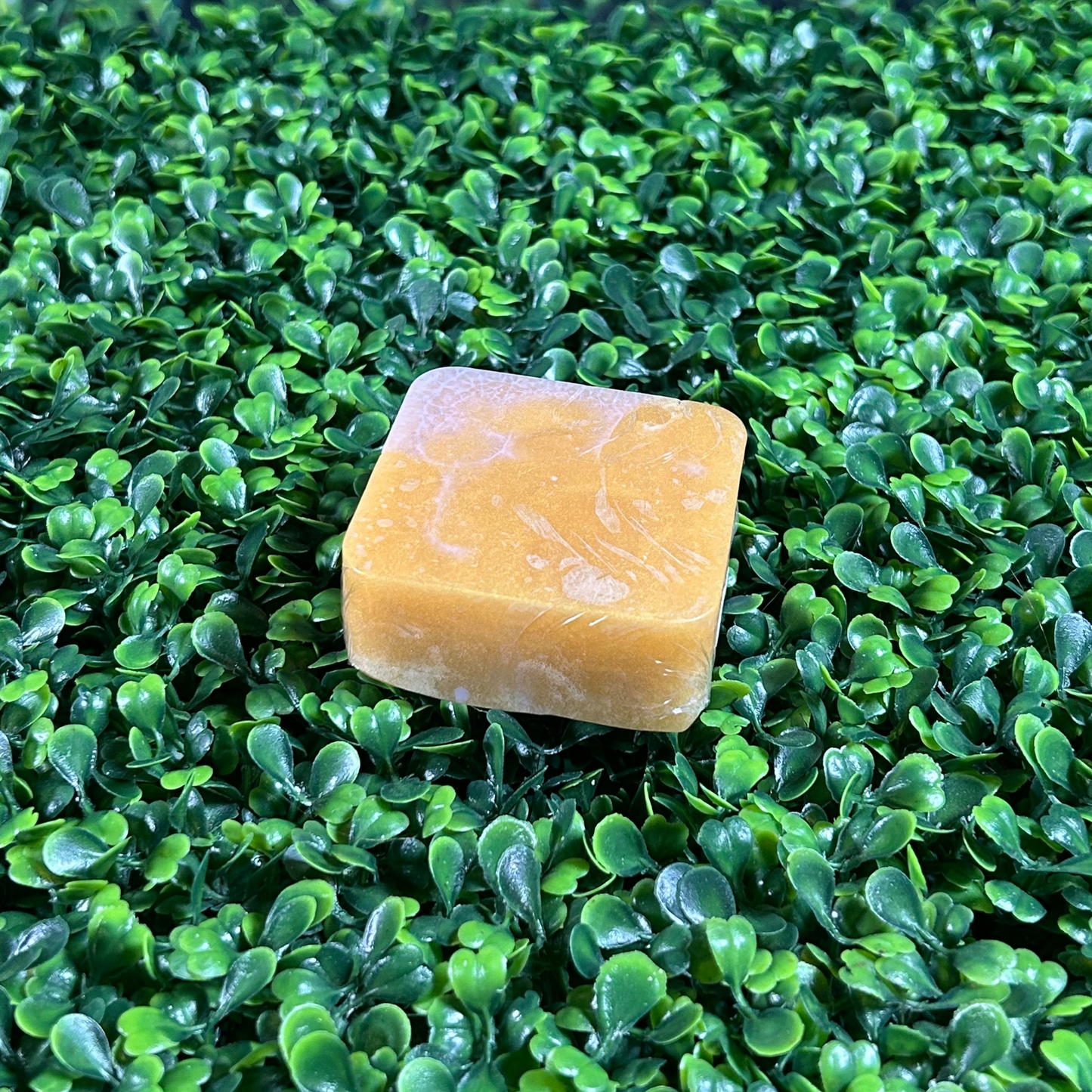lavender and le male square soap bar