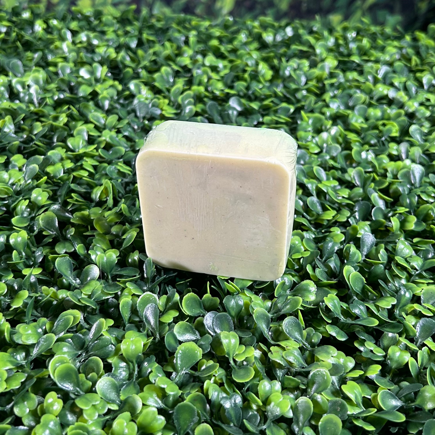 square size of avocado soap