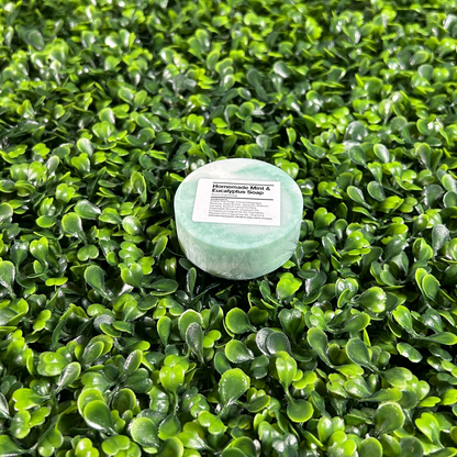 circular travel size bar of mint and eucalyptus soap