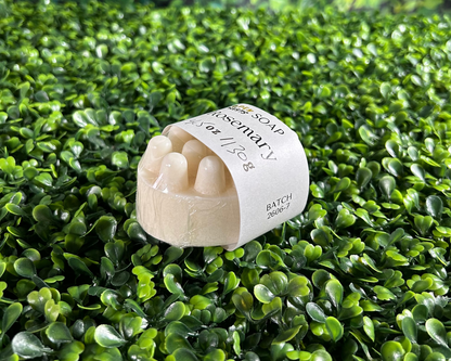 scrub variant of rosemary bar soap